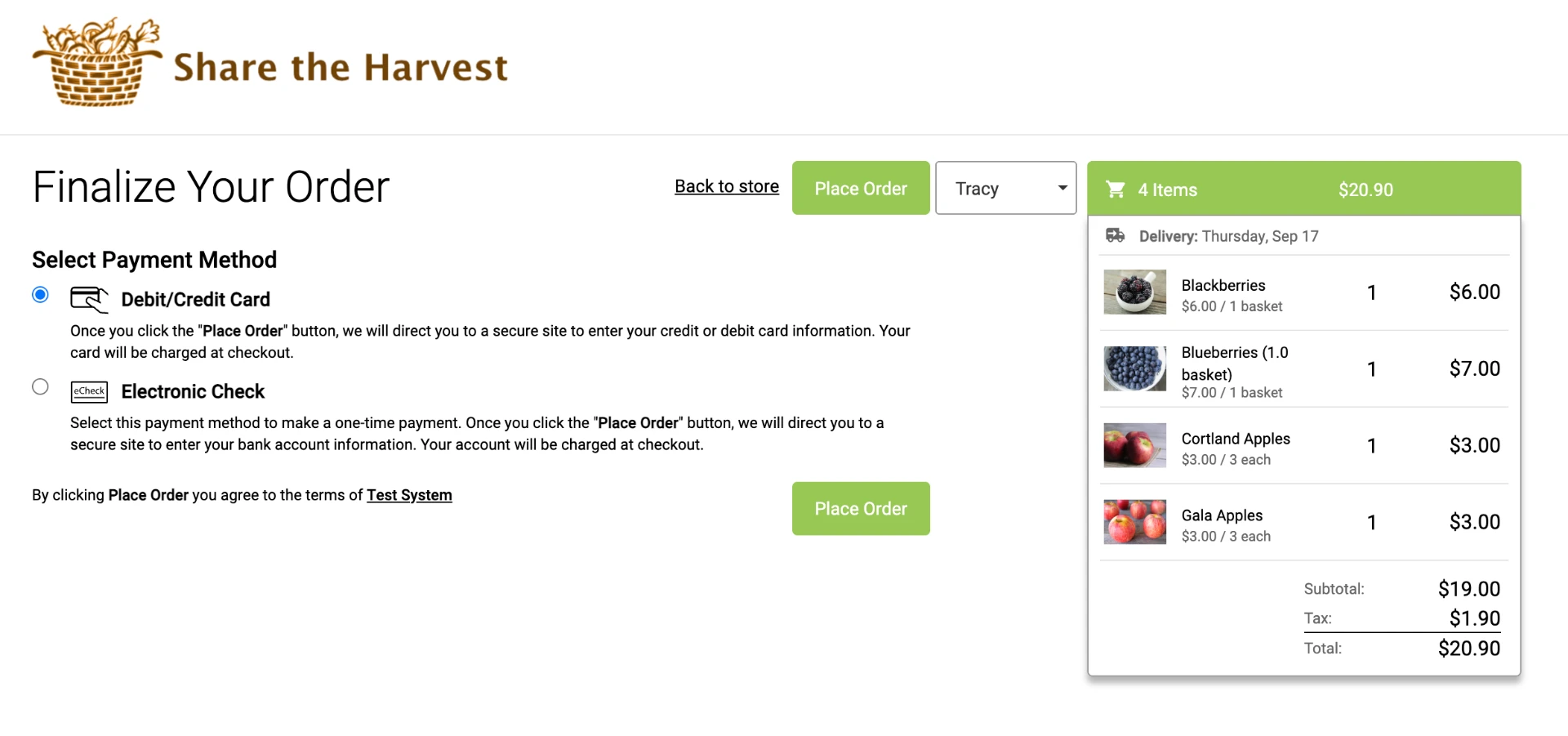 Finalize Your Order page with payment method selection