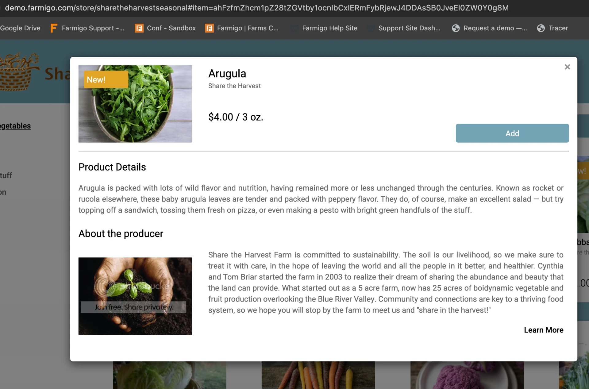Item details popup with direct link in browser address bar