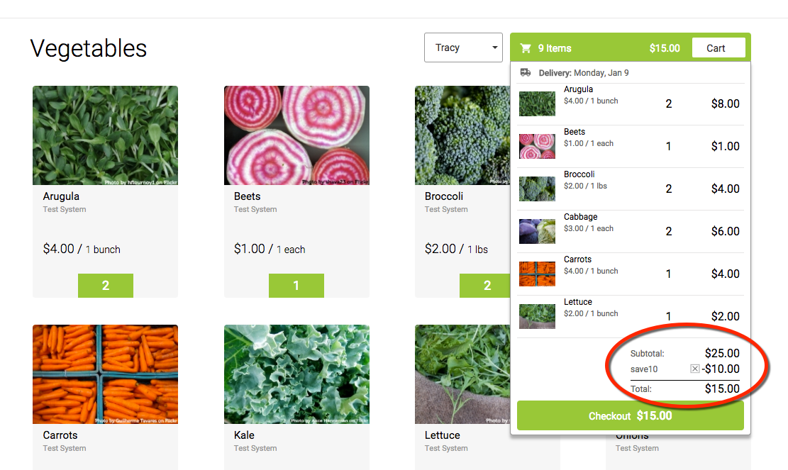 Web store cart summary showing the coupon discount applied to the order total