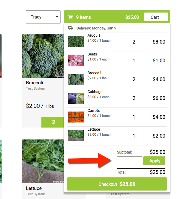 Shopping cart summary with a red arrow pointing to the coupon code field and Apply button