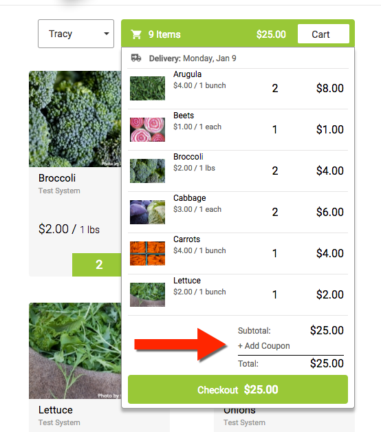 Shopping cart summary with a red arrow pointing to the + Add Coupon link