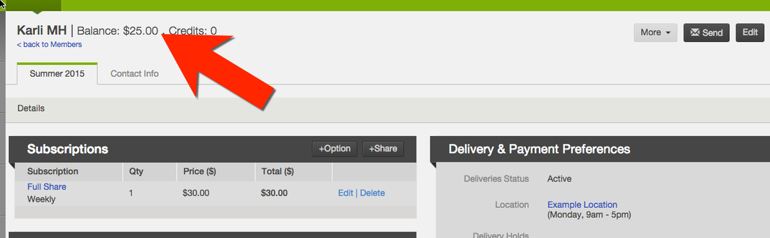 Member account showing positive balance next to member name