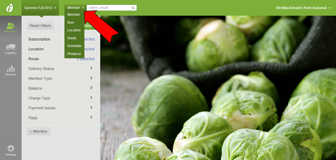 Search bar showing the Member segment dropdown selected