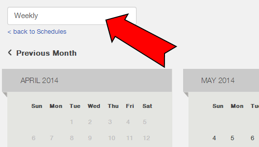 Schedule editor showing the schedule name field